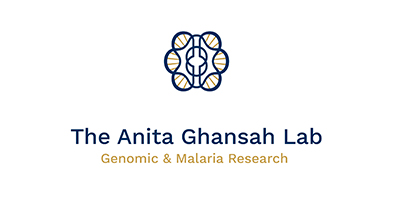 The Anita Ghansah Lab